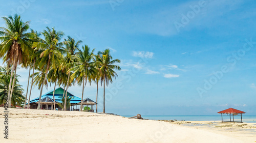 Fototapeta Naklejka Na Ścianę i Meble -  Beautiful view at derawan Island, Indonesia. coconut tree and white sand on the beach