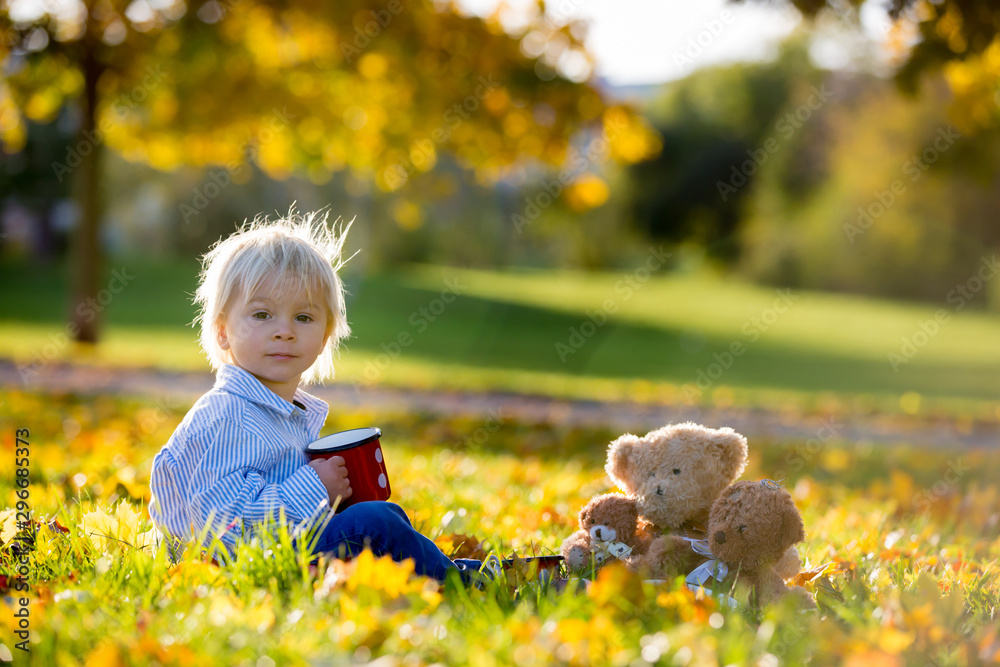 Beautiful toddler child, boy, drinking tea in the park with teddy bear friends Beautiful toddler child, boy, drinking tea in the park with teddy bear friends