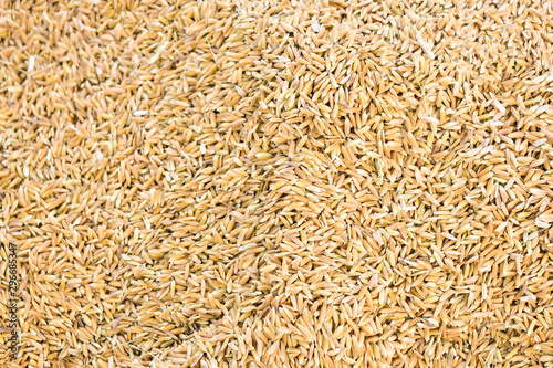 Top view of many rice grains
