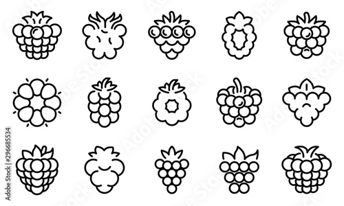 Blackberry icons set. Outline set of blackberry vector icons for web design isolated on white background