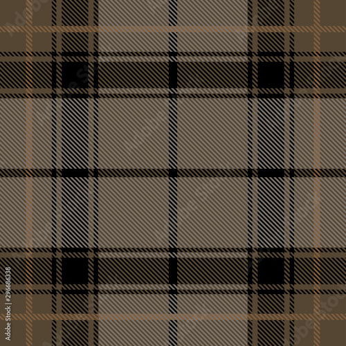 Beautiful checkered grey plaid pattern vector