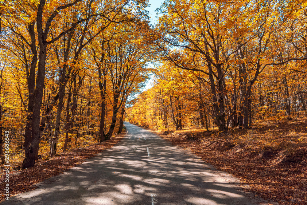 Road among yellow autumn mountain forest