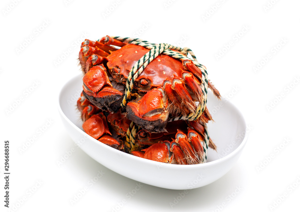 Cooked Chinese hairy crab isolated on white background Cooked Chinese hairy crab isolated on white background