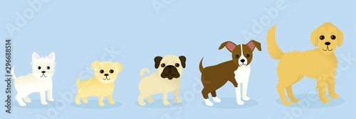 Fototapeta Naklejka Na Ścianę i Meble -  Vector illustration of five dogs