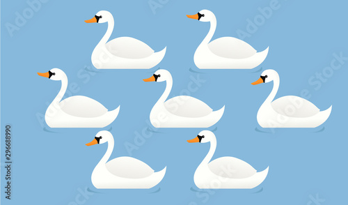Fototapeta Naklejka Na Ścianę i Meble -  Seven swans a-swimming