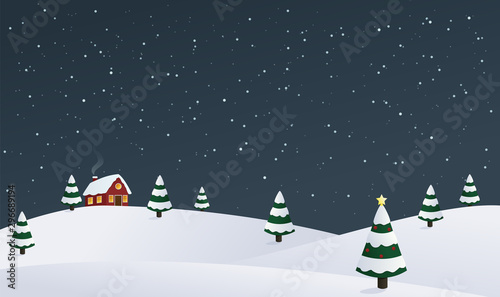 Winter night landscape