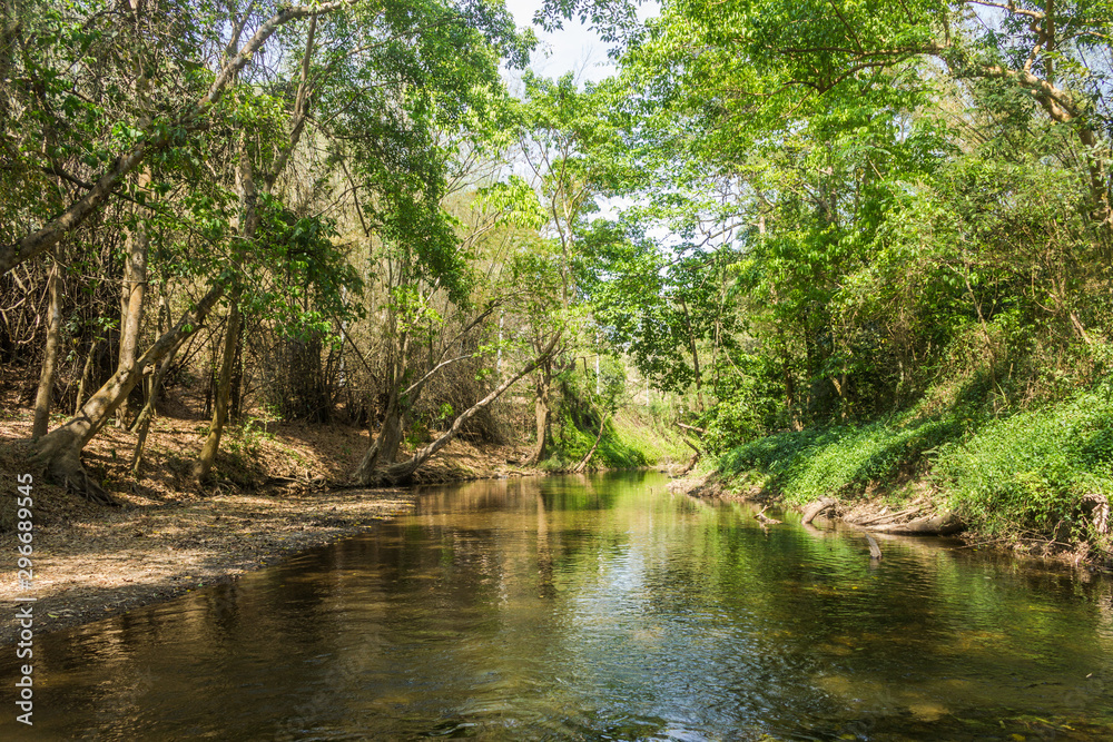 River in forest and sunlight through leaves ratchaburi thailand.