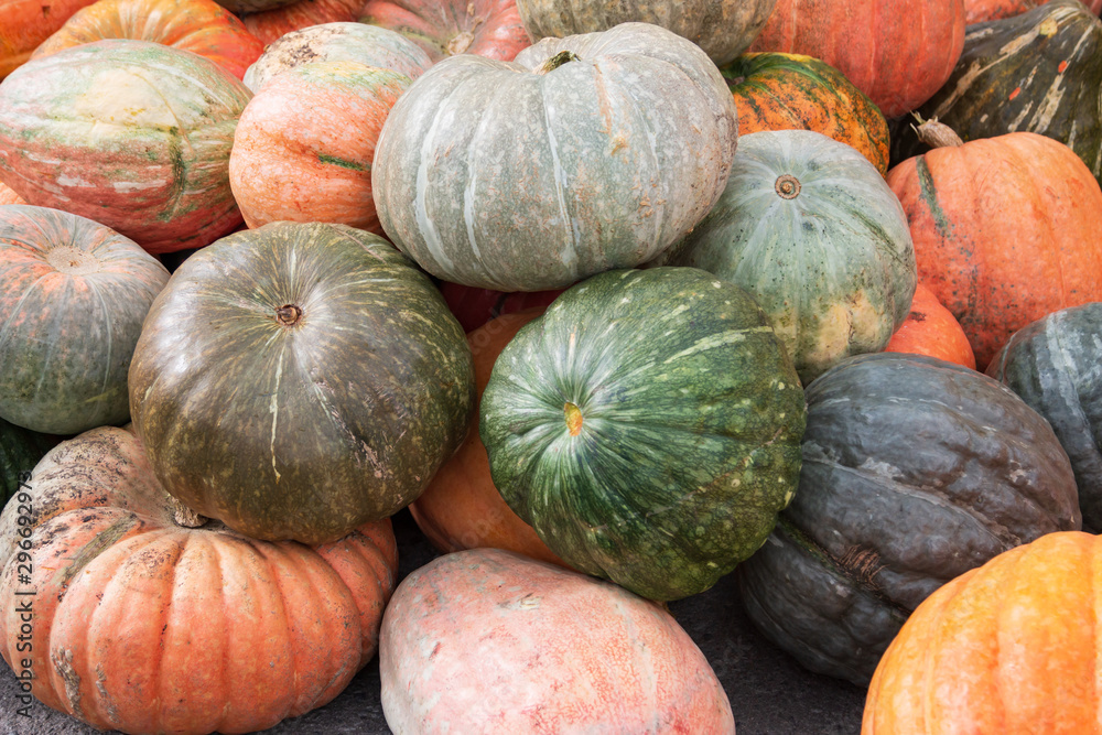 different ripe pumpkins as background