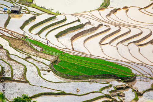 Beauty of rice terraces in a mountainous region, Northern Vietnam in watering season