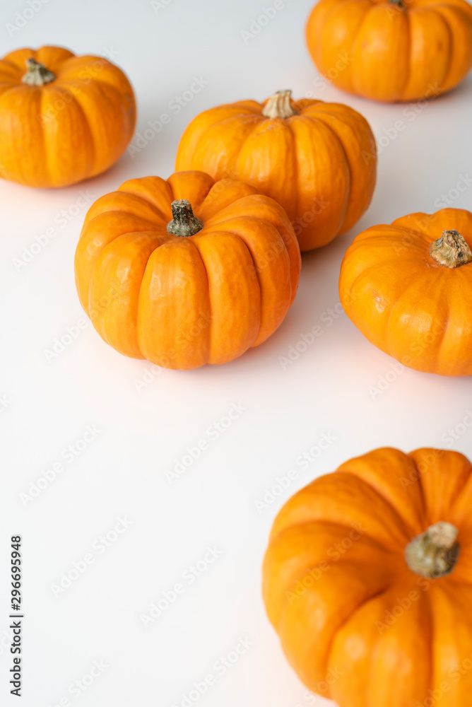 Mini pumpkins lay on white background. Mini pumpkins lay on white background.