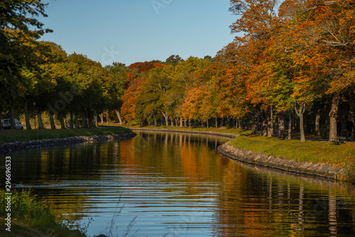 Autumn colour full landscape in Stockholm