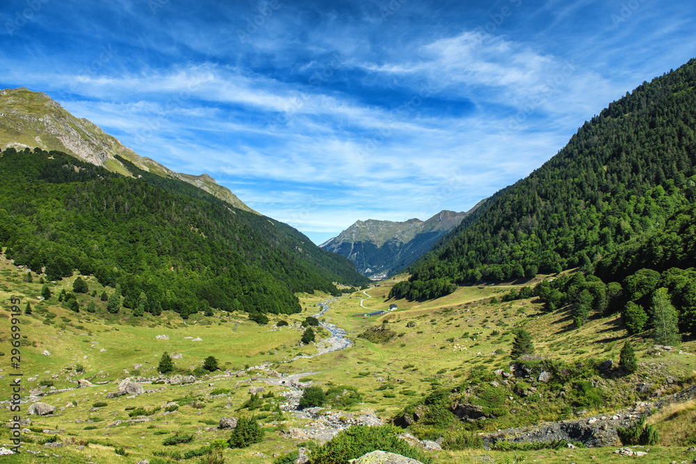 view of the valley Ossau in the french Pyrenees mountains