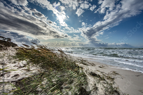 Fototapeta Naklejka Na Ścianę i Meble -  küste