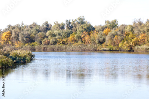  landscape yellow trees on the banks of a large river