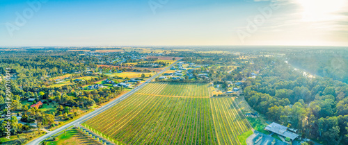 Aerial panoramic landsccape of vineyard and scenic countryside in Moama, NSW, Australia