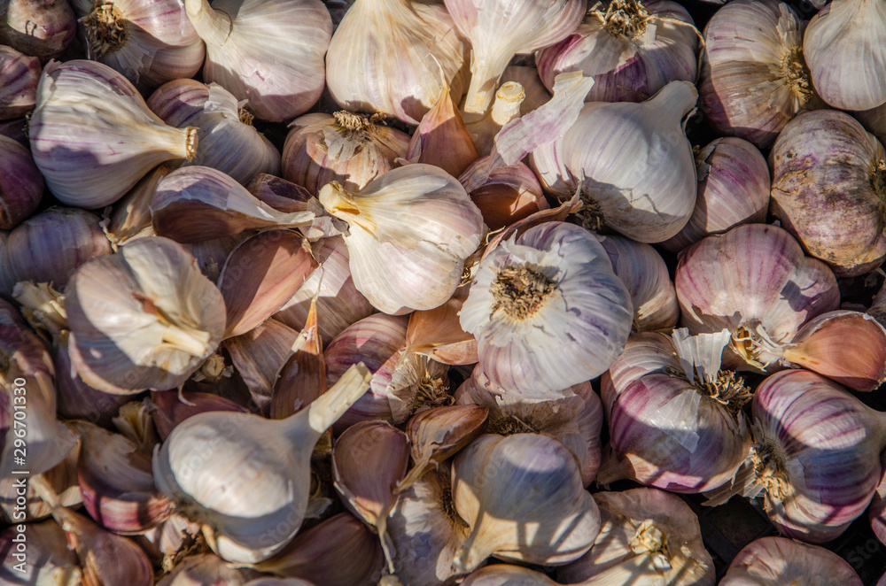 Ripe garlic Ripe garlic