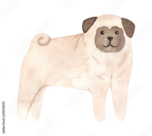 Hand drawn watercolor dog. Painted Illustration isolated on white background.