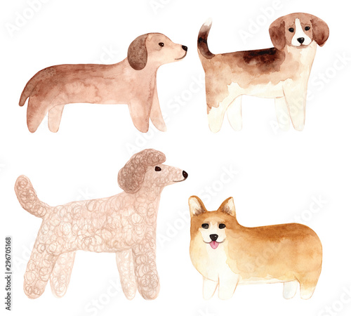 Hand drawn watercolor dogs set. Painted collection Illustration isolated on white background.