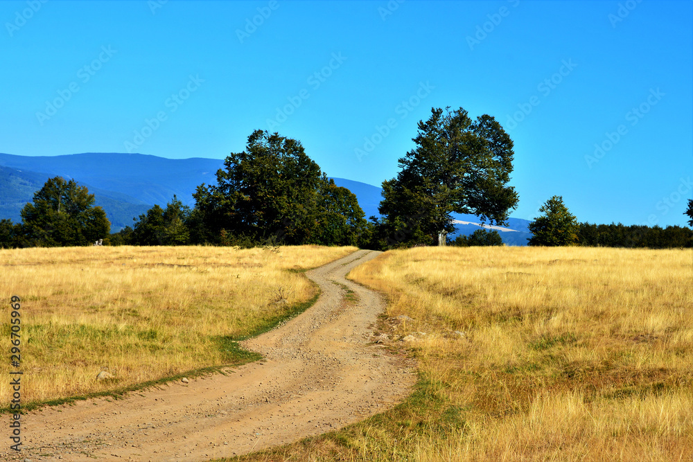 a dirt road on a field