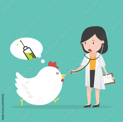 Sick chicken Swine Flu with the doctor a vaccination
