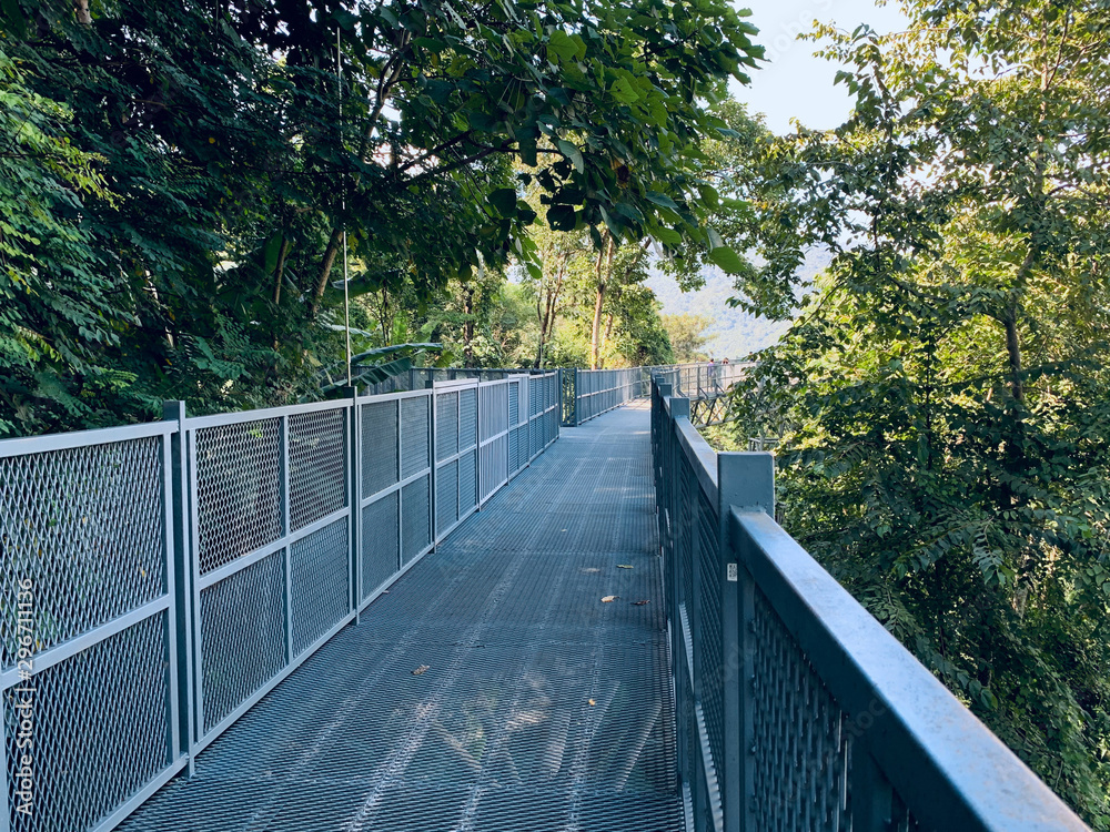 Steel structure walkway on tall mountains with forests