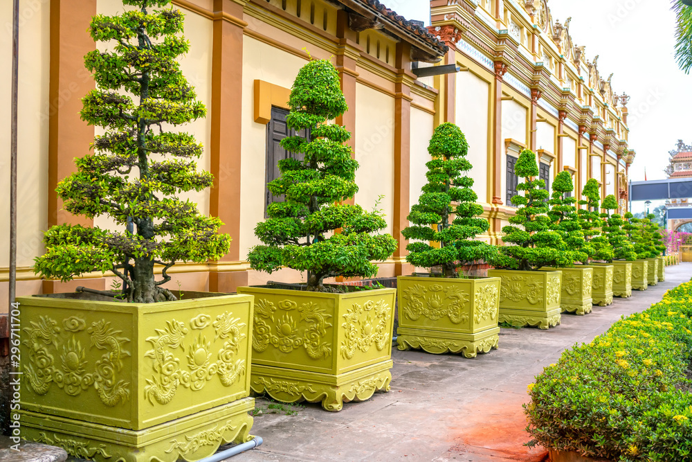 Bonsai trees in Vinh Trang Temple are a Buddhist temple near My Tho in the Mekong Delta region of southern Vietnam.