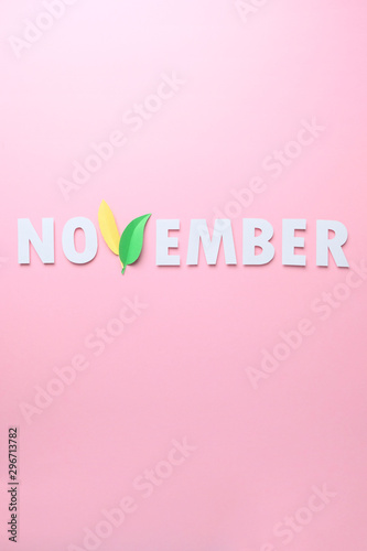 The word November cut from paper with the letter V of leaves on a pink background