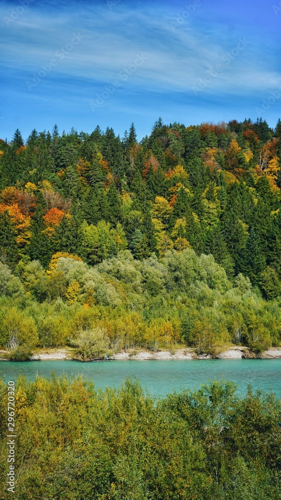 lake in forest lake in forest
