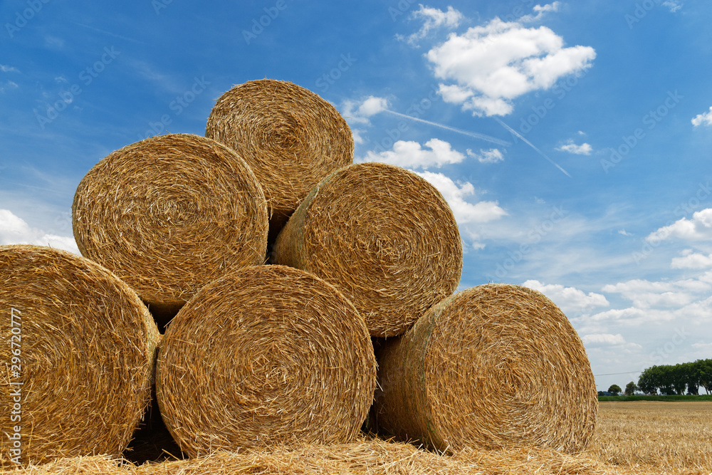 Rundballen aus Stroh liegen auf einem abgeernteten Getreidefeld