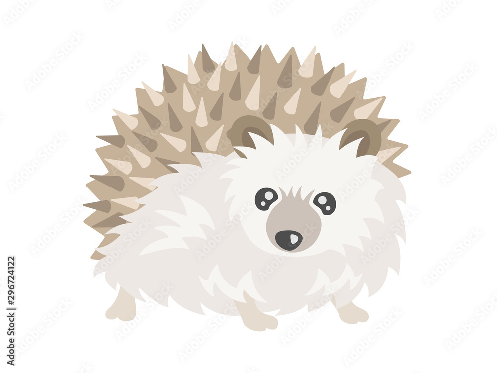 ハリネズミのイラスト ハリネズミのイラスト