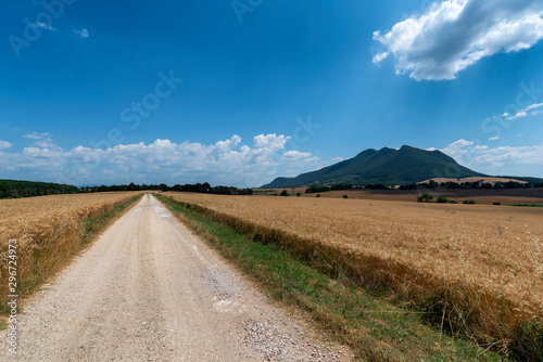 Rural landscape in the Rome province photo