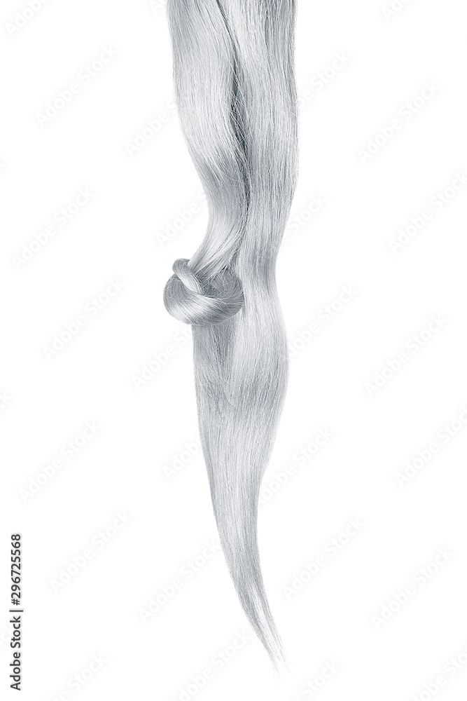 Gray hair knot isolated on white background. Long straight ponytail Gray hair knot isolated on white background. Long straight ponytail