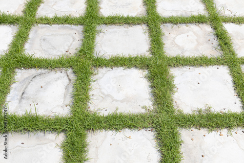 high angle view of square grid concrete stone or marble tile walkway pavement floor with green grass, Use for background and texture.