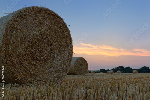 Rundballen aus Stroh auf einem Getreidefeld im Abendlicht
