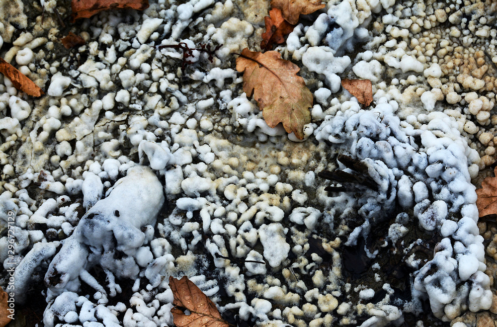 crystalline salt on the soil crystalline salt on the soil