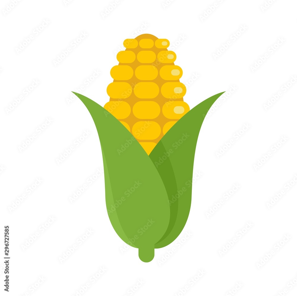 Corn Vector