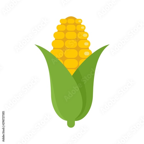 Corn icon. Flat illustration of corn vector icon for web design