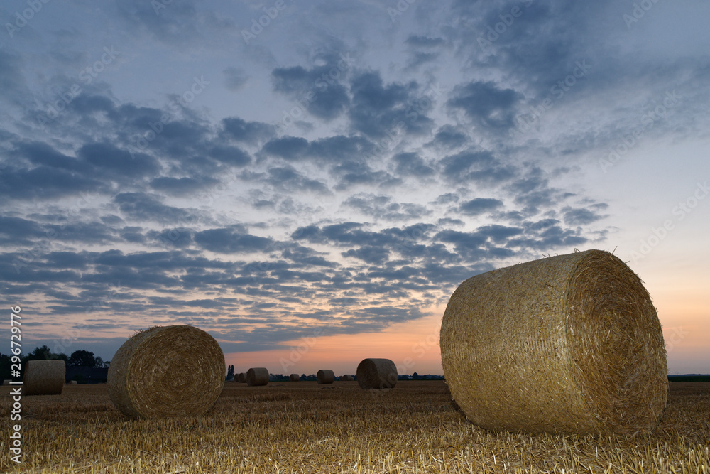 Rundballen aus Stroh auf einem Getreidefeld im Morgenlicht