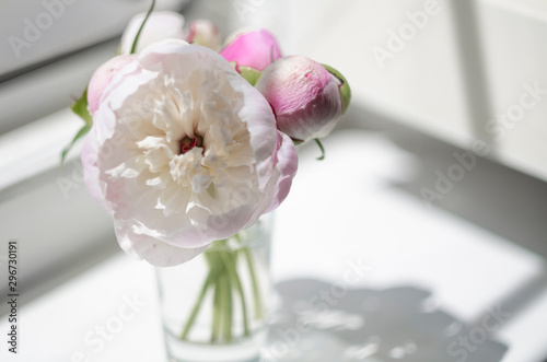 Fototapeta Naklejka Na Ścianę i Meble -  Bouquet of small white and pink peonies in a glass bowl on a light window background in a bright sunny day with a falling shadow. Still life of flowers in a vase on the table at home with copy space