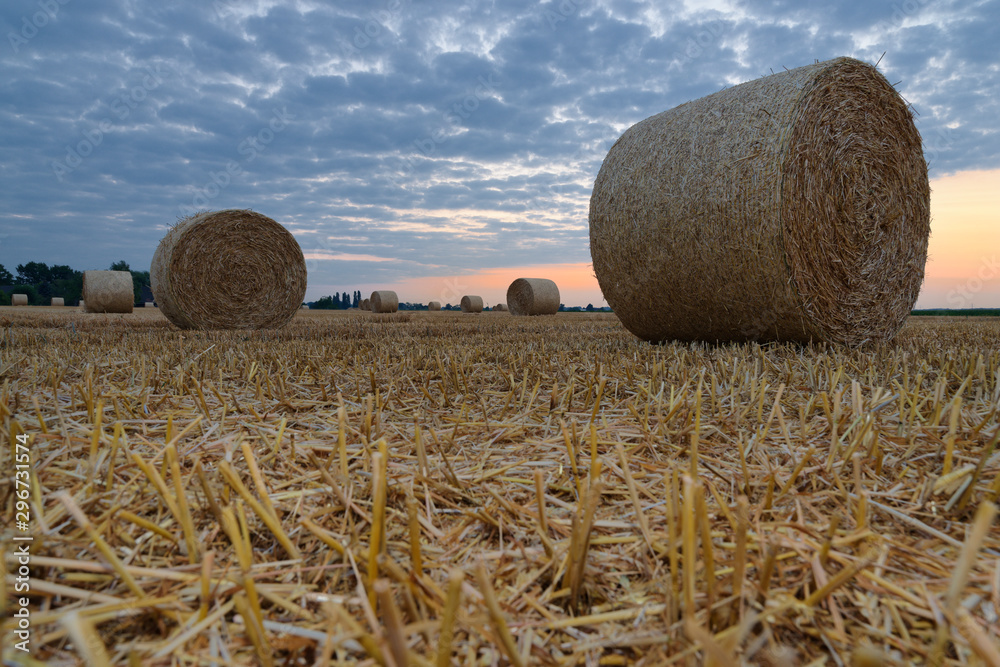 Rundballen aus Stroh auf einem Getreidefeld im Morgenlicht