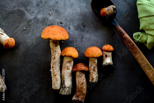Beautiful edible mushrooms on a dark background, in the kitchen