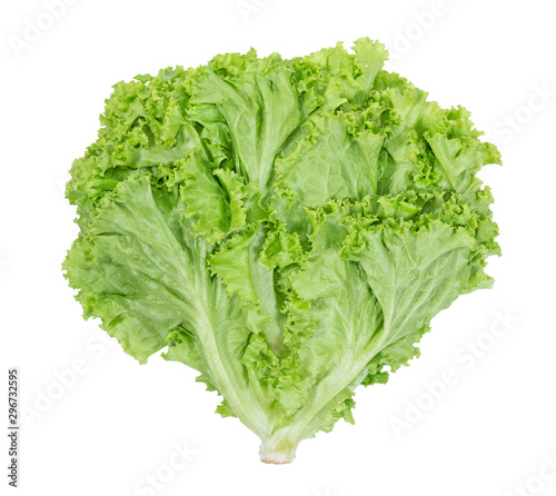 Lettuce leaf on white background,Salad ingredient