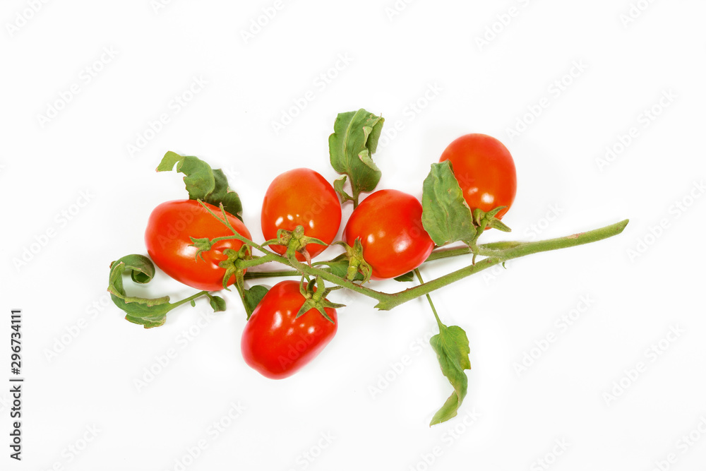 Fototapeta Fresh tomato on a white background