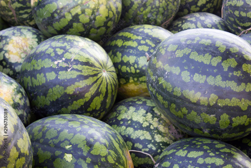 Watermelons  on the market. Harvest concept. Close-up