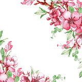 pink sakura flowers leaves green