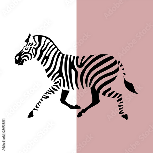 Transparent silhouette silhouette of running zebra. Vector illustration EPS 8