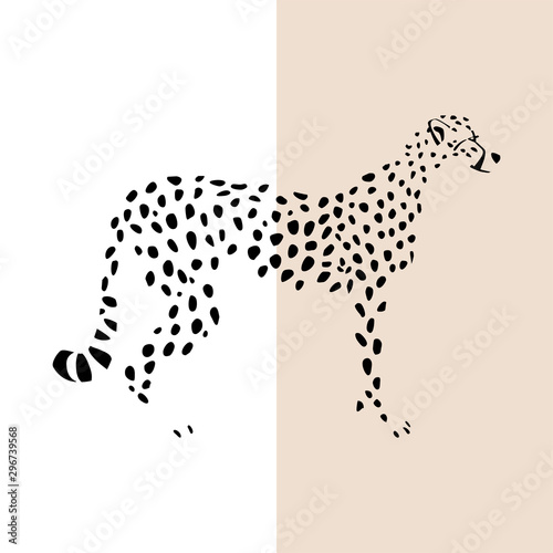 Transparent silhouette of standing cheetah. Vector illustration EPS 8