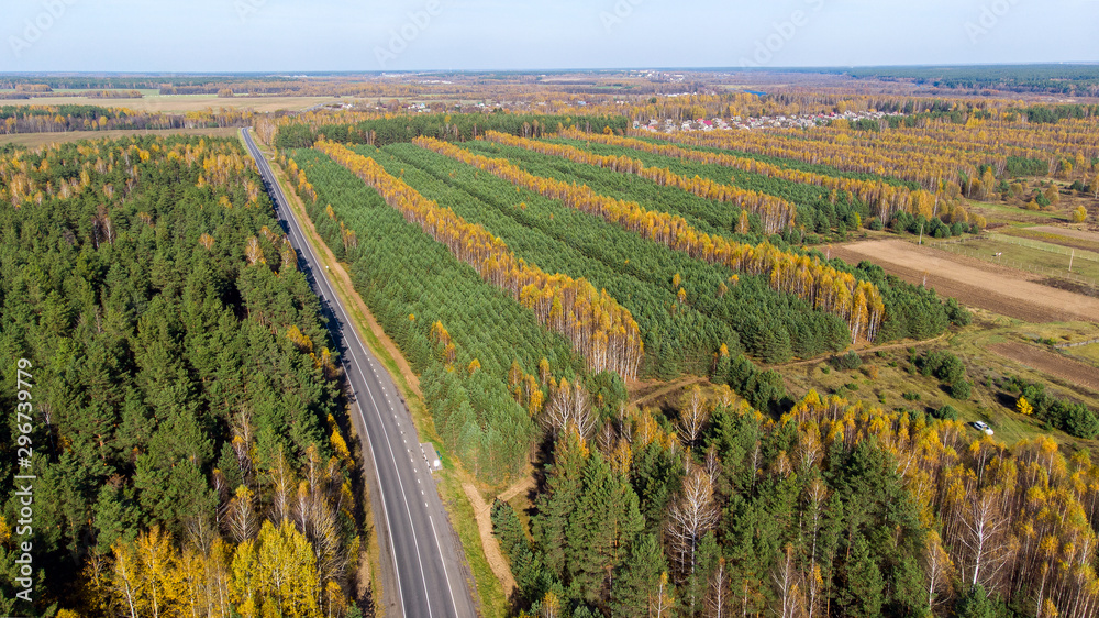 Road going through forest landscape, aerial view