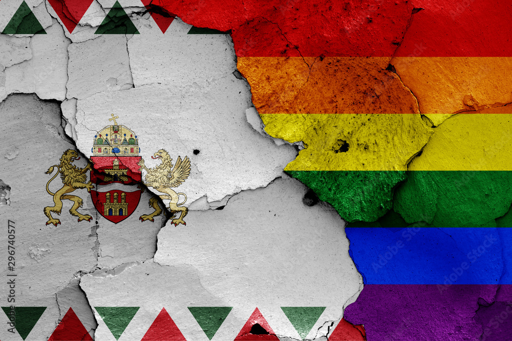 flags of Budapest and LGBT painted on cracked wall