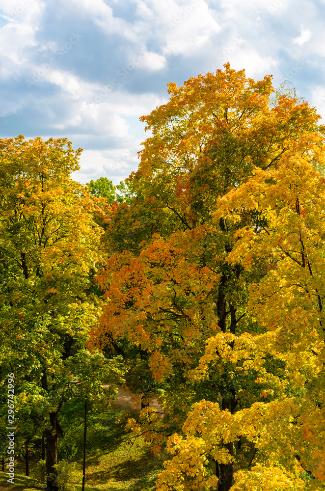 Autumn landscape in Park with yellow, green, red leaves of trees on grass meadow against blue sky with clouds Autumn landscape in Park with yellow, green, red leaves of trees on grass meadow against blue sky with clouds